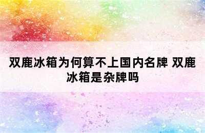 双鹿冰箱为何算不上国内名牌 双鹿冰箱是杂牌吗